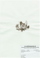 藏品(匍匐擬石花)的圖片